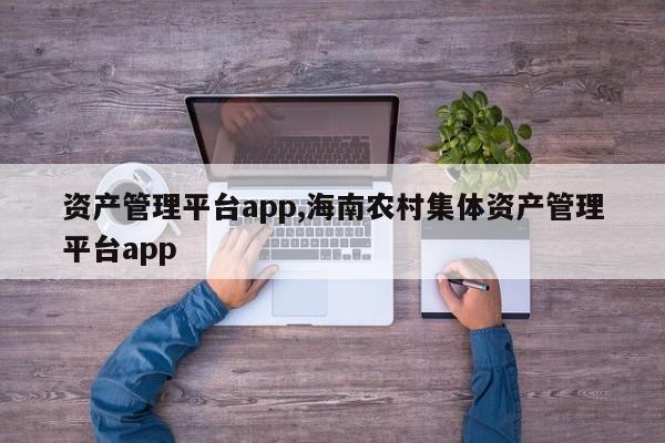 资产管理平台app,海南农村集体资产管理平台app