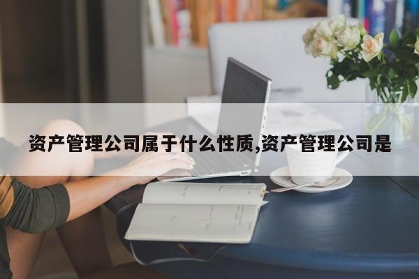 资产管理公司属于什么性质,资产管理公司是