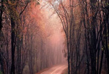 美股券商有哪些公司排名,美股券商有哪些公司排名第一