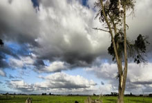 美股券商有哪些公司排名,美股券商有哪些公司排名第一