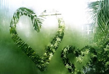 美股券商有哪些公司排名,美股券商有哪些公司排名第一