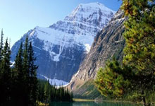 美股券商有哪些公司排名,美股券商有哪些公司排名第一